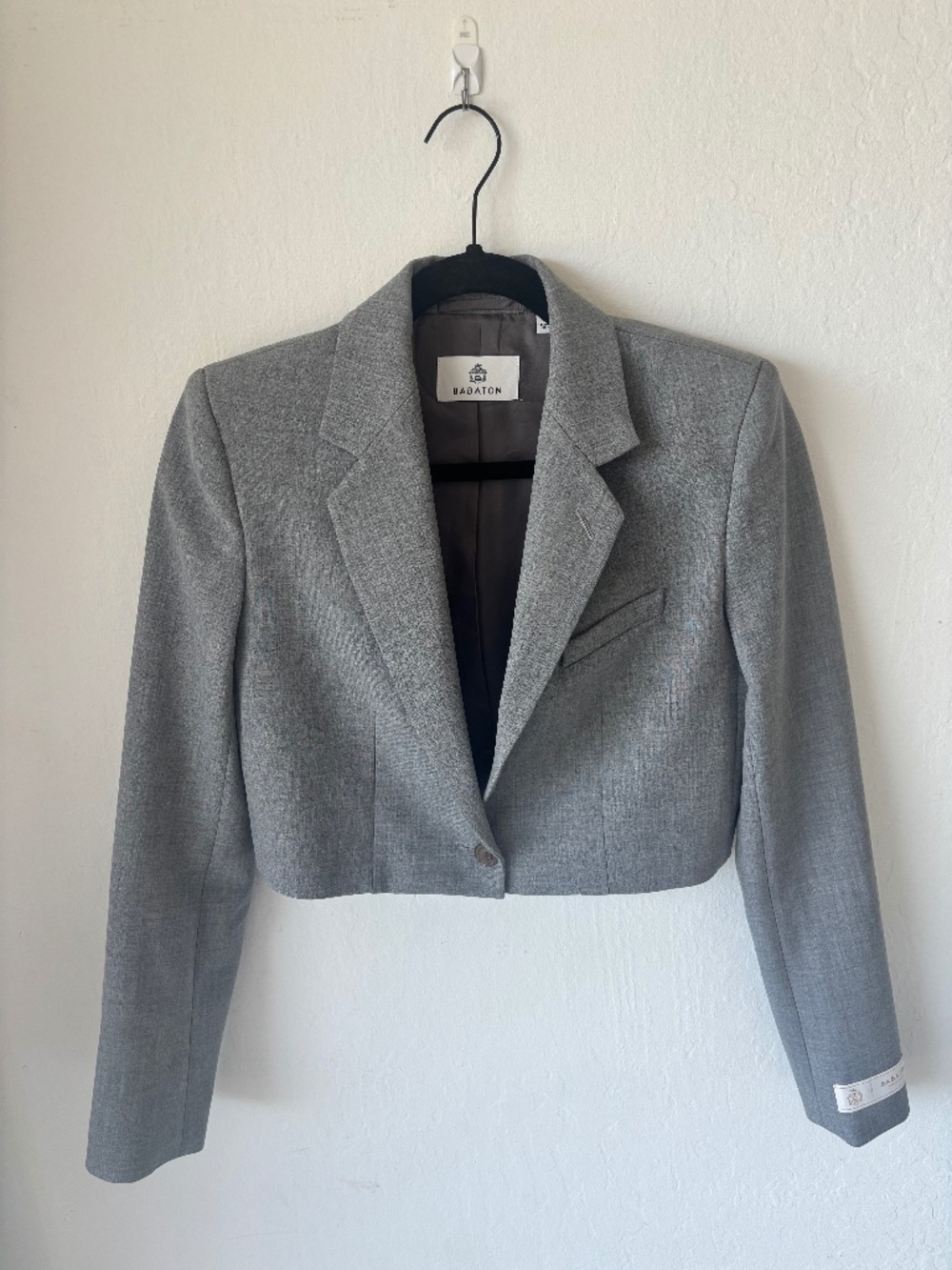 Babaton by Aritzia cropped blazer